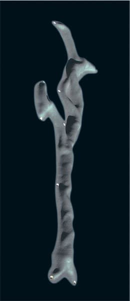 Macro Volume Colonnette L (sob medida / para aparafusar) - Cromossomo Y | Altishop
